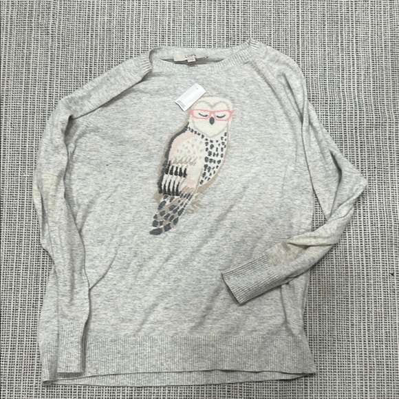 NWT Loft Gray Sweater with Owl Design size large - Picture 1 of 3